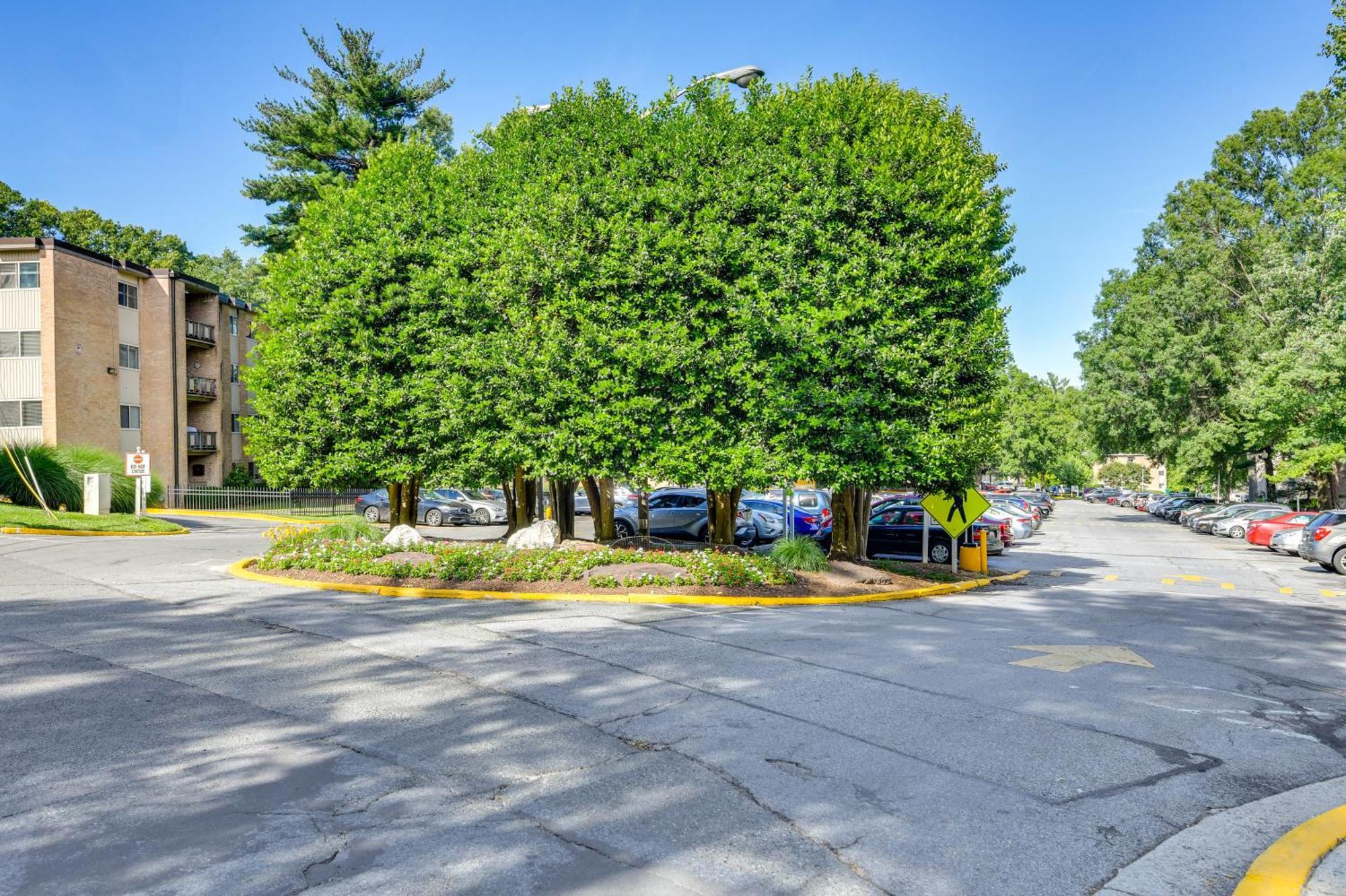 North Bethesda Apartment With Community Pool! מראה חיצוני תמונה